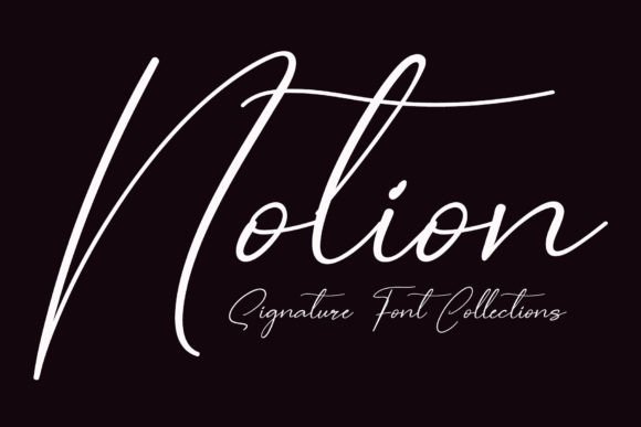 Notion Typeface Review for Brand Designers