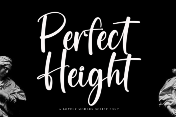Perfect Height: A Friendly Script Font for Branding