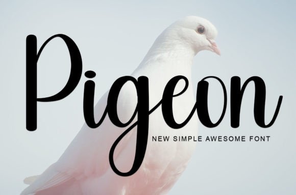 Pigeon: A Stylish Handwritten Font for Modern Editors